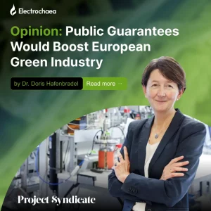 Image of Dr Doris Hafenbradl standing in a lab, facing the camera. Text on the image reads: Opinion: Public Guarantees Would Boost European Green Industry.